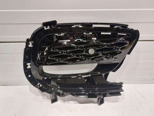 BEZEL. Fog Lamp. Right